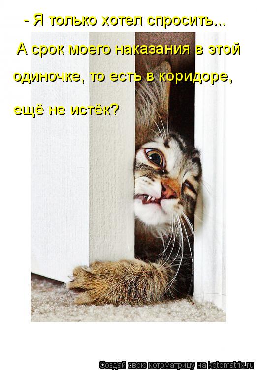 одиночке, то есть в коридоре, ещё не истёк? - Я только хотел спросить... А срок моего наказания в это... Котоматрица: одиночке, то есть в коридоре, ещё не истёк? - Я только хотел спросить... А срок моего наказания в этой