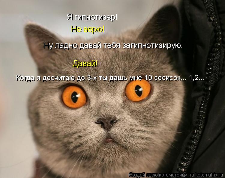 Я гипнотизер! Не верю! Ну ладно давай тебя загипнотизирую. Давай! Когда я досчитаю до 3-х ты дашь мне... Котоматрица: Я гипнотизер! Не верю! Ну ладно давай тебя загипнотизирую. Давай! Когда я досчитаю до 3-х ты дашь мне 10 сосисок... 1,2...