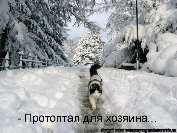 - Протоптал для хозяина...... Котоматрица: - Протоптал для хозяина...