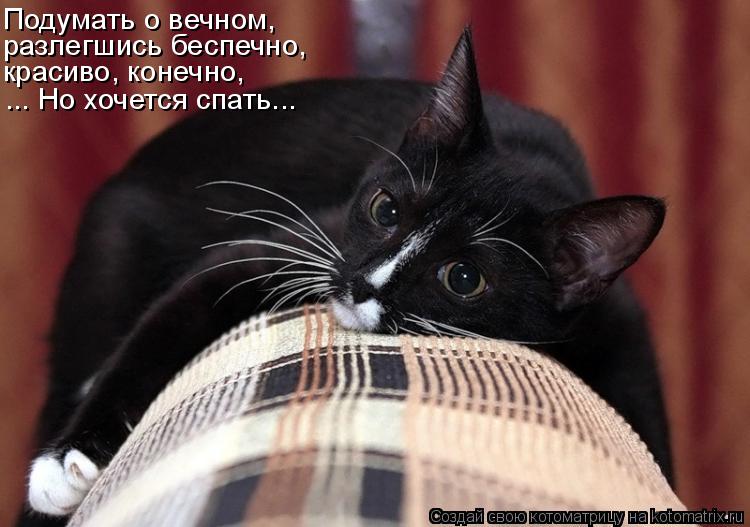 Подумать о вечном, разлегшись беспечно, красиво, конечно, ... Но хочется спать...... Котоматрица: Подумать о вечном, разлегшись беспечно, красиво, конечно, ... Но хочется спать...
