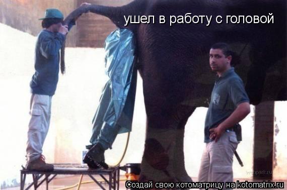 ушел в работу с головой... Котоматрица: ушел в работу с головой