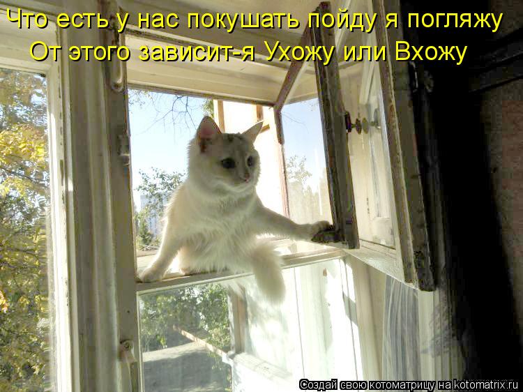 Что есть у нас покушать пойду я погляжу От этого зависит-я Ухожу или Вхожу... Котоматрица: Что есть у нас покушать пойду я погляжу От этого зависит-я Ухожу или Вхожу