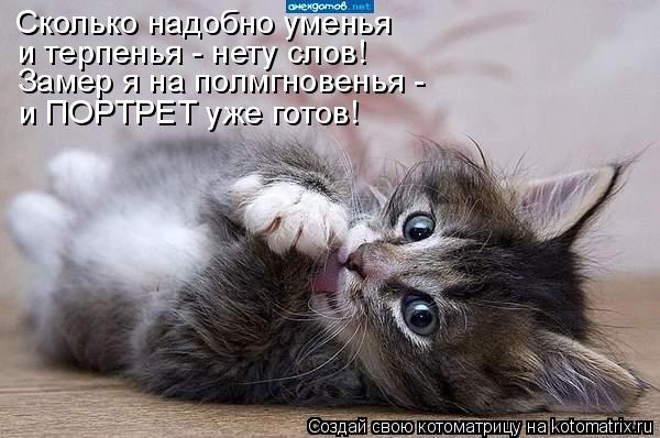 Сколько надобно уменья Замер я на полмгновенья - и ПОРТРЕТ уже готов! и терпенья - нету слов!... Котоматрица: Сколько надобно уменья Замер я на полмгновенья - и ПОРТРЕТ уже готов! и терпенья - нету слов!