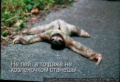 Не пей, а то даже не козленочком станешь!... Котоматрица: Не пей, а то даже не козленочком станешь!