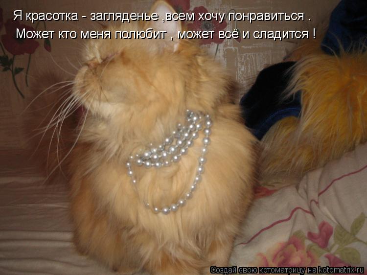 Я красотка - загляденье ,всем хочу понравиться . Может кто меня полюбит , может всё и сладится !... Котоматрица: Я красотка - загляденье ,всем хочу понравиться . Может кто меня полюбит , может всё и сладится !