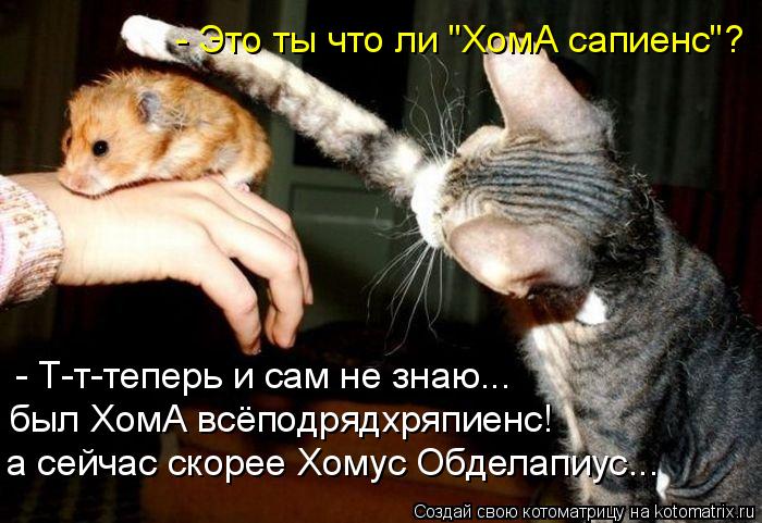- Это ты что ли "ХомА сапиенс"? - Т-т-теперь и сам не знаю... был ХомА всёподрядхряпиенс! а сейчас ск... Котоматрица: - Это ты что ли "ХомА сапиенс"? - Т-т-теперь и сам не знаю... был ХомА всёподрядхряпиенс! а сейчас скорее Хомус Обделапиус...