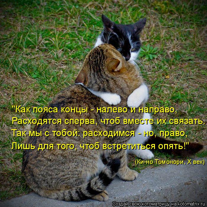 "Как пояса концы - налево и направо, Расходятся сперва, чтоб вместе их связать. Так мы с тобой: расхо... Котоматрица: "Как пояса концы - налево и направо, Расходятся сперва, чтоб вместе их связать. Так мы с тобой: расходимся - но, право, Лишь для того, чтоб встре