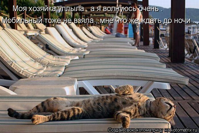 Моя хозяйка уплыла , а я волнуюсь очень . Мобильный тоже не взяла , мне что же ждать до ночи ...... Котоматрица: Моя хозяйка уплыла , а я волнуюсь очень . Мобильный тоже не взяла , мне что же ждать до ночи ...