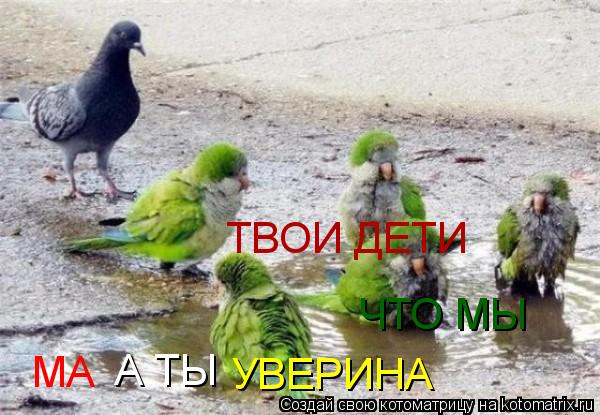 МА УВЕРИНА ЧТО МЫ А ТЫ ТВОИ ДЕТИ... Котоматрица: МА УВЕРИНА ЧТО МЫ А ТЫ ТВОИ ДЕТИ