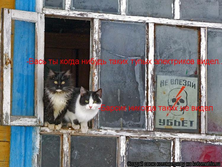 Вась ты когда нибудь таких тупых электриков видел. -Барсик никогда таких не видел -Вась ты когда ниб... Котоматрица: Вась ты когда нибудь таких тупых электриков видел. -Барсик никогда таких не видел -Вась ты когда нибудь таких тупых электриков видел..