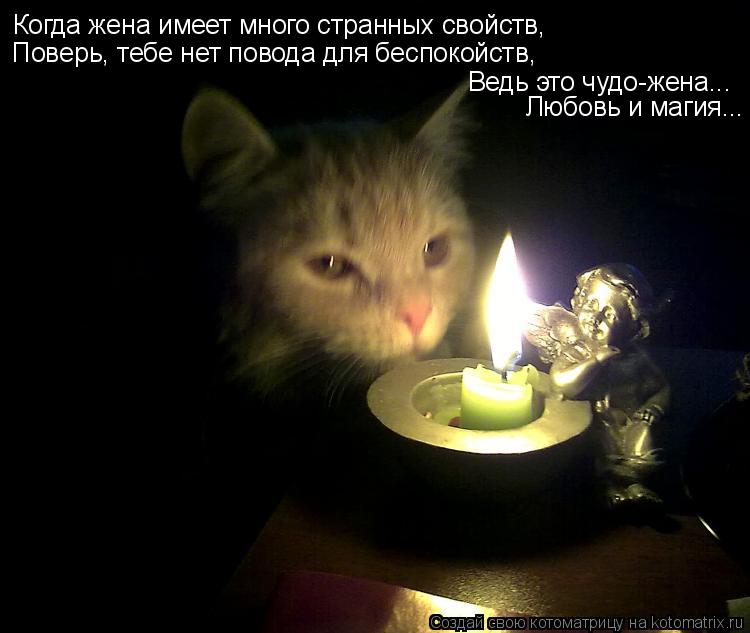 Когда жена имеет много странных свойств, Поверь, тебе нет повода для беспокойств, Ведь это чудо-жена.... Котоматрица: Когда жена имеет много странных свойств, Поверь, тебе нет повода для беспокойств, Ведь это чудо-жена... Любовь и магия...