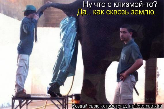 Ну что с клизмой-то? Да.. как сквозь землю..... Котоматрица: Ну что с клизмой-то? Да.. как сквозь землю..