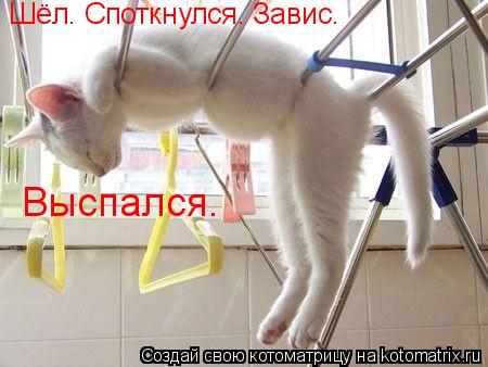 Шёл. Споткнулся. Завис. Выспался.... Котоматрица: Шёл. Споткнулся. Завис. Выспался.