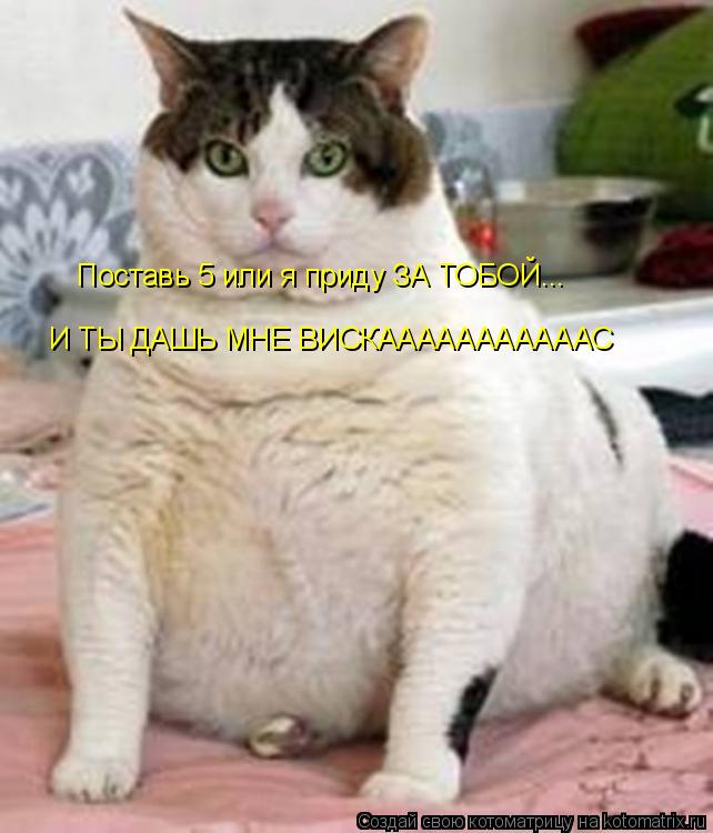 Поставь 5 или я приду ЗА ТОБОЙ... И ТЫ ДАШЬ МНЕ ВИСКАААААААААААС... Котоматрица: Поставь 5 или я приду ЗА ТОБОЙ... И ТЫ ДАШЬ МНЕ ВИСКАААААААААААС