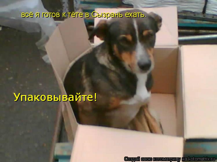 всё я готов к тёте в Сызрань ехать. Упаковывайте!... Котоматрица: всё я готов к тёте в Сызрань ехать. Упаковывайте!