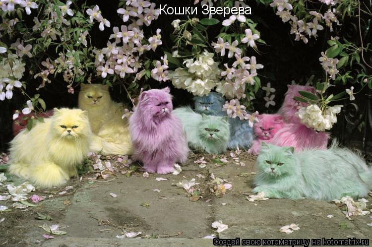 Кошки Зверева... Котоматрица: Кошки Зверева