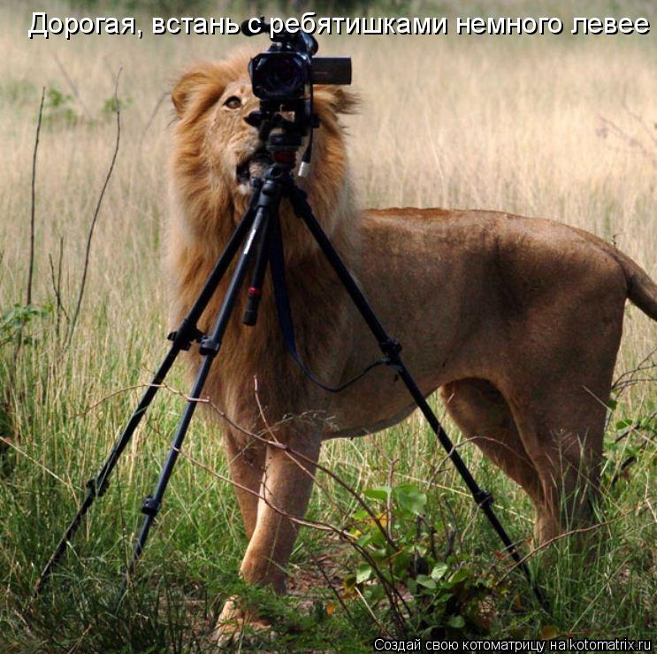 Дорогая, встань с ребятишками немного левее... Котоматрица: Дорогая, встань с ребятишками немного левее