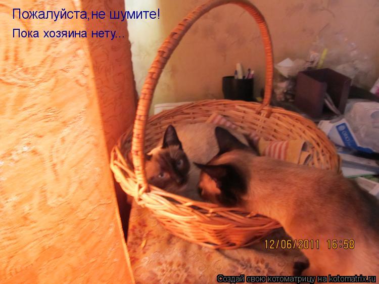Котоматрица: Пожалуйста,не шумите!  Пока хозяина нету...
