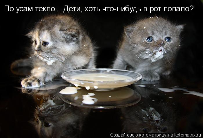 Котоматрица: По усам текло... Дети, хоть что-нибудь в рот попало?
