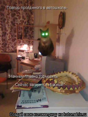 Котоматрица: Повтор пройденого в автошколе- "Начием плавно тормозить. Сейчас загорится красный"