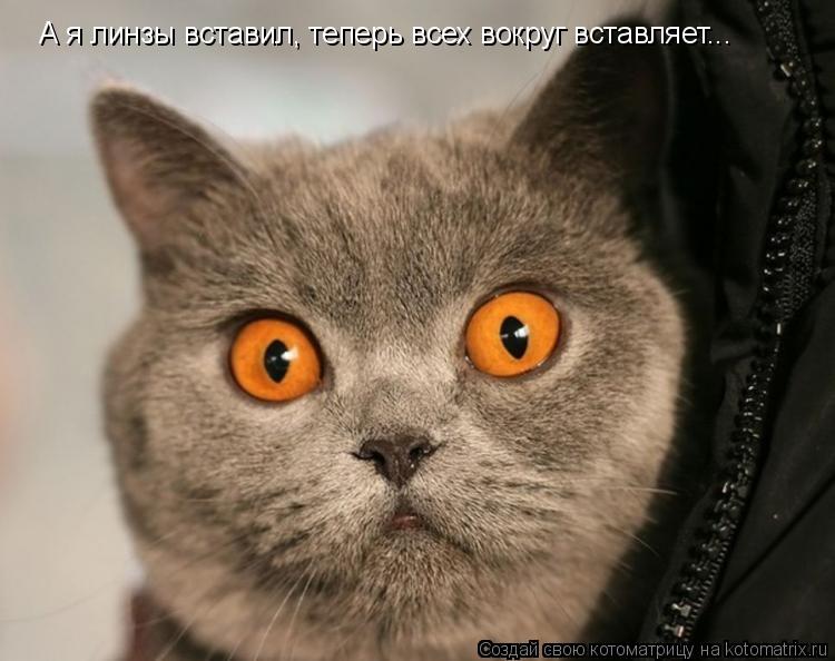 Котоматрица: А я линзы вставил, теперь всех вокруг вставляет...