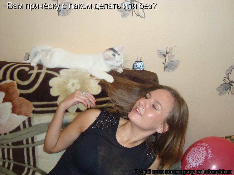 Котоматрица: --Вам причёску с лаком делать или без?