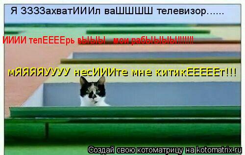 Котоматрица: Я ЗЗЗЗахватИИИл ваШШШШ телевизор...... ИИИИ тепЕЕЕЕрь вЫЫЫ   мои рабЫЫЫЫ!!!!!!! мЯЯЯЯУУУУ несИИИте мне китикЕЕЕЕЕт!!!