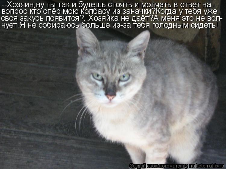 Котоматрица: --Хозяин,ну ты так и будешь стоять и молчать в ответ на вопрос,кто спёр мою колбасу из заначки?Когда у тебя уже своя закусь появится?..Хозяйка 
