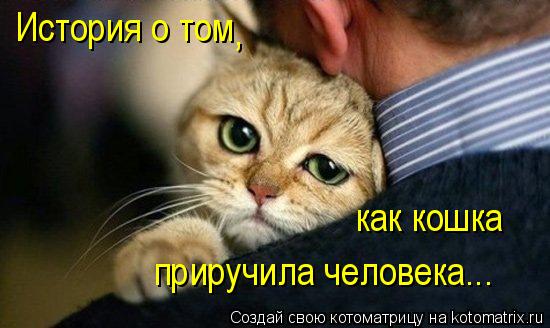 История о том , как кошка приручила человека...... Котоматрица: История о том , как кошка приручила человека...
