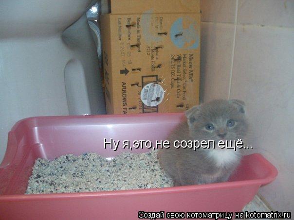 Ну я,это,не созрел ещё...... Котоматрица: Ну я,это,не созрел ещё...