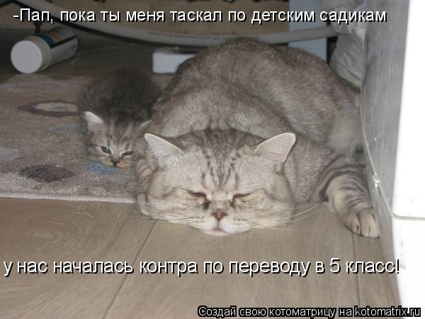 -Пап, пока ты меня таскал по детским садикам у нас началась контра по переводу в 5 класс!... Котоматрица: -Пап, пока ты меня таскал по детским садикам у нас началась контра по переводу в 5 класс!