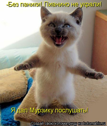 -Без паники! Пианино не украли! Я дал Мурзику послушать!... Котоматрица: -Без паники! Пианино не украли! Я дал Мурзику послушать!