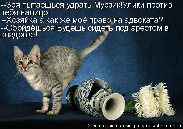 --Зря пытаешься удрать,Мурзик!Улики против тебя налицо! --Хозяйка,а как же моё право на адвоката? --О... Котоматрица: --Зря пытаешься удрать,Мурзик!Улики против тебя налицо! --Хозяйка,а как же моё право на адвоката? --Обойдёшься!Будешь сидеть под арестом в кла