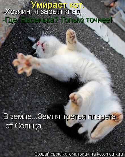 Умирает кот. -Хозяин, я зарыл клад... -Где, Васенька? Только точнее! -В земле...Земля-третья планета ... Котоматрица: Умирает кот. -Хозяин, я зарыл клад... -Где, Васенька? Только точнее! -В земле...Земля-третья планета от Солнца...