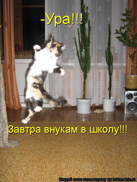 -Ура!!! Завтра внукам в школу!!!... Котоматрица: -Ура!!! Завтра внукам в школу!!!
