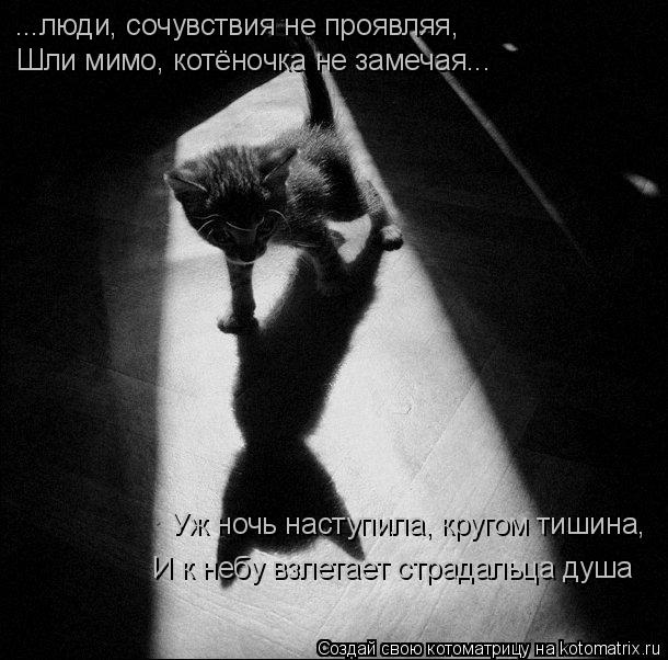 ...люди, сочувствия не проявляя, Шли мимо, котёночка не замечая... Уж ночь наступила, кругом тишина, ... Котоматрица: ...люди, сочувствия не проявляя, Шли мимо, котёночка не замечая... Уж ночь наступила, кругом тишина, И к небу взлетает страдальца душа