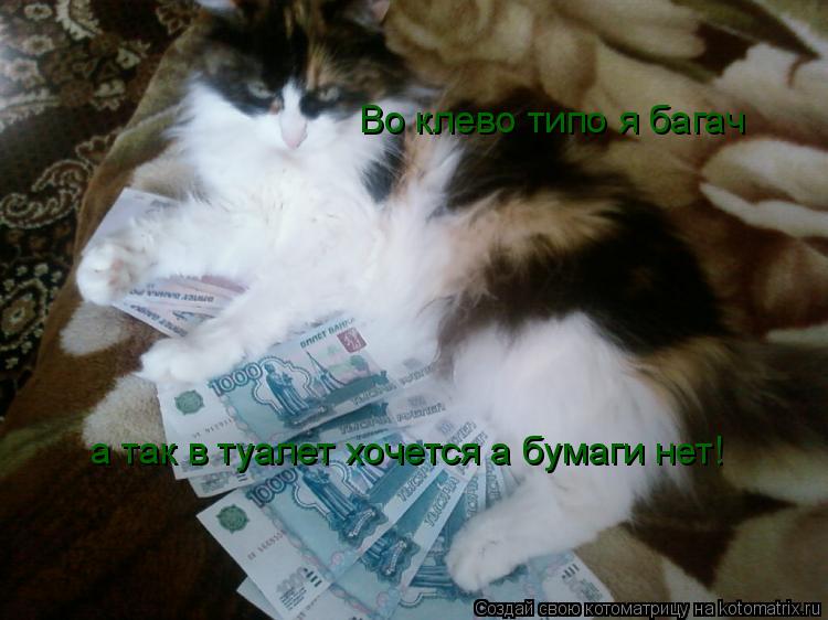 Во клево типо я багач а так в туалет хочется а бумаги нет!... Котоматрица: Во клево типо я багач а так в туалет хочется а бумаги нет!
