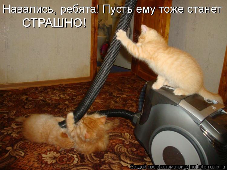 Навались, ребята! Пусть ему тоже станет СТРАШНО!... Котоматрица: Навались, ребята! Пусть ему тоже станет СТРАШНО!