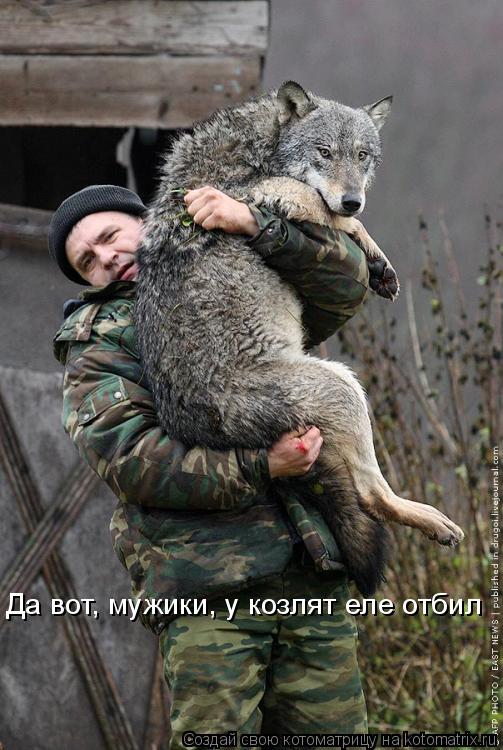 Да вот, мужики, у козлят еле отбил... Котоматрица: Да вот, мужики, у козлят еле отбил