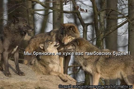Мы,брянские,не хуже вас тамбовских будем!!... Котоматрица: Мы,брянские,не хуже вас тамбовских будем!!