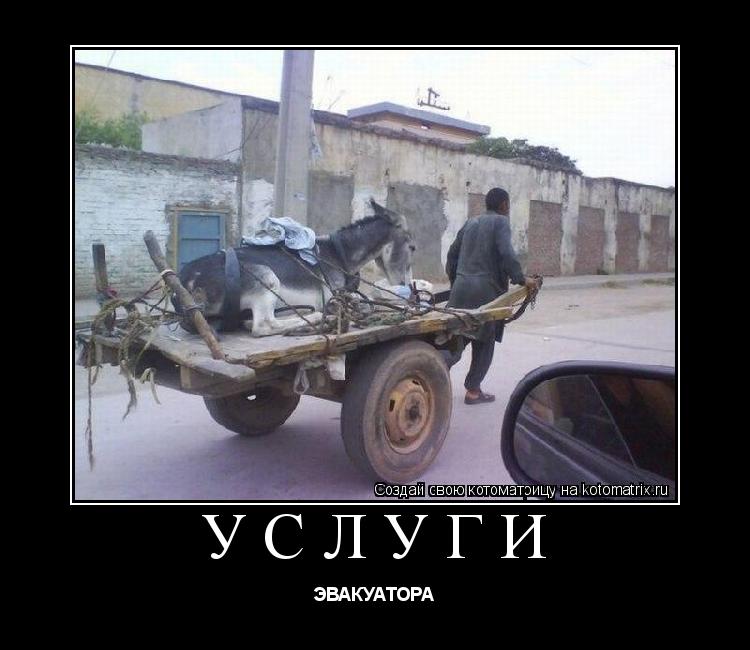 услуги ЭВАКУАТОРА... Котоматрица: услуги ЭВАКУАТОРА