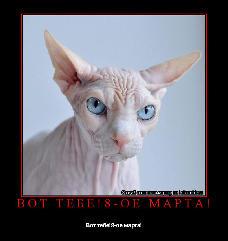 Котоматрица: Вот тебе!8-ое марта! Вот тебе!8-ое марта!