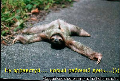 Котоматрица: Ну здравстуй.... новый рабочий день....)))