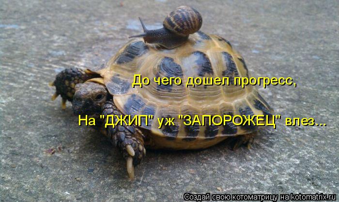 До чего дошел прогресс, На "ДЖИП" уж "ЗАПОРОЖЕЦ" влез...... Котоматрица: До чего дошел прогресс, На "ДЖИП" уж "ЗАПОРОЖЕЦ" влез...