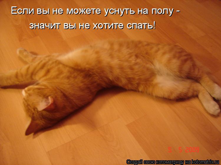 Если вы не можете уснуть на полу - значит вы не хотите спать!... Котоматрица: Если вы не можете уснуть на полу - значит вы не хотите спать!