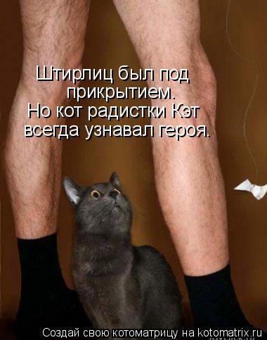 Штирлиц был под прикрытием. Но кот радистки Кэт всегда узнавал героя.... Котоматрица: Штирлиц был под прикрытием. Но кот радистки Кэт всегда узнавал героя.