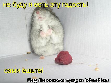 не буду я есть эту гадость! сами ешьте!... Котоматрица: не буду я есть эту гадость! сами ешьте!