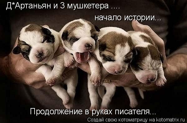 Д*Артаньян и 3 мушкетера .... начало истории... Продолжение в руках писателя...... Котоматрица: Д*Артаньян и 3 мушкетера .... начало истории... Продолжение в руках писателя...