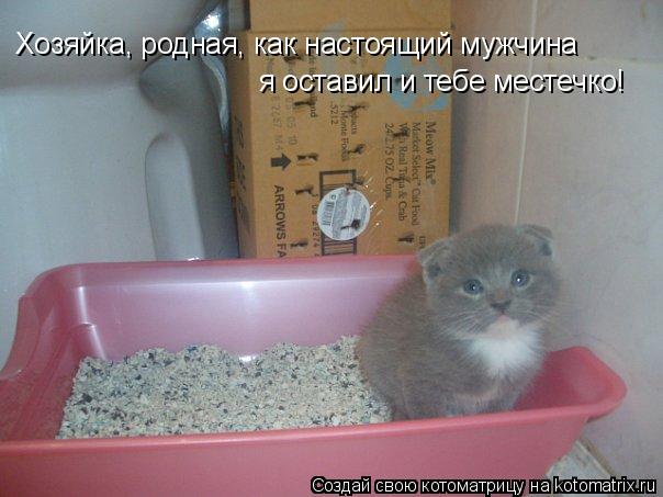 Хозяйка, родная, как настоящий мужчина я оставил и тебе местечко!... Котоматрица: Хозяйка, родная, как настоящий мужчина я оставил и тебе местечко!
