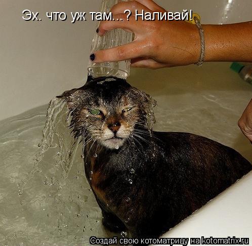 Эх. что уж там...? Наливай!... Котоматрица: Эх. что уж там...? Наливай!